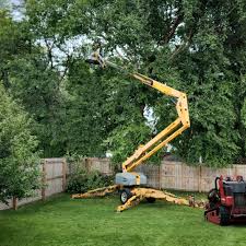 Best Tree Disease Treatment  in Kendall Park, NJ
