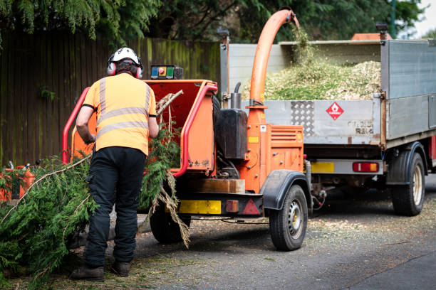  Kendall Park, NJ Tree Services Pros