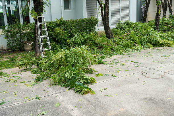 Best Seasonal Cleanup (Spring/Fall)  in Kendall Park, NJ