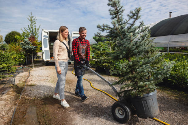 Best Tree Mulching  in Kendall Park, NJ