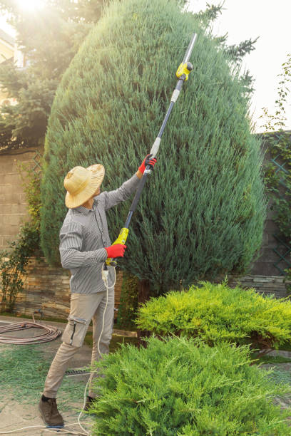 Best Tree Health Inspection  in Kendall Park, NJ